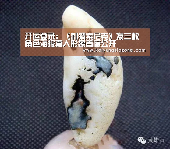 开运登录:《刺猬索尼克》发三款角色海报真人形象首度公开(图4) 开运登录